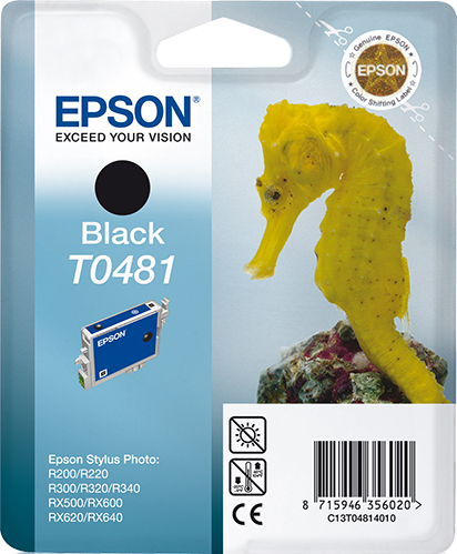 Original Epson T0481 | C13T04814010 Tintenpatrone Schwarz ( 2024 )
