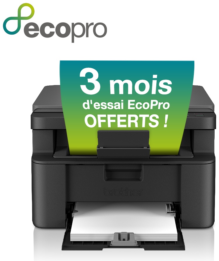Brother DCP-L1640W S/W Laser Drucker