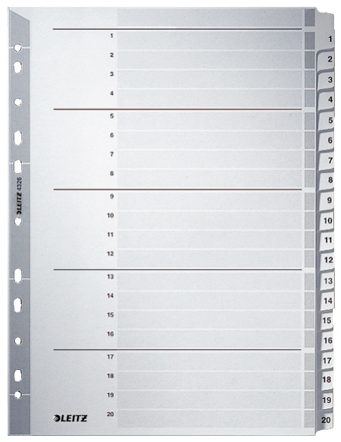 Leitz Register | DIN A4 | 1-20 · 20-teilig | Grau