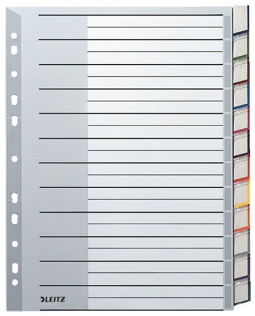 Leitz Register 1274 | DIN A4 | blanko · 12-teilig | Grau