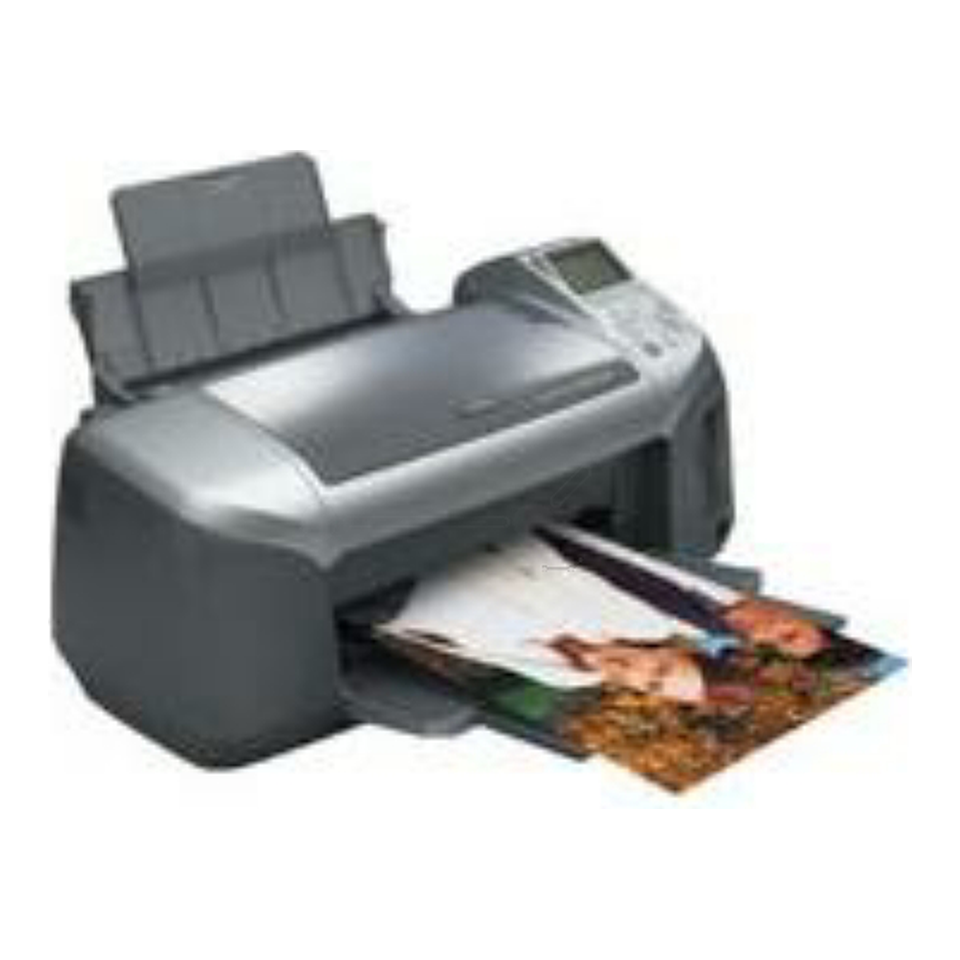 Epson Stylus Photo R 310