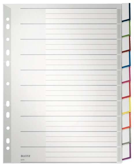 Leitz Register | DIN A4 | blanko · 10-teilig | Grau/Weiß