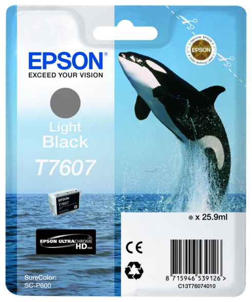 Original Epson T7607 | C13T76074010 light schwarz Tintenpatrone