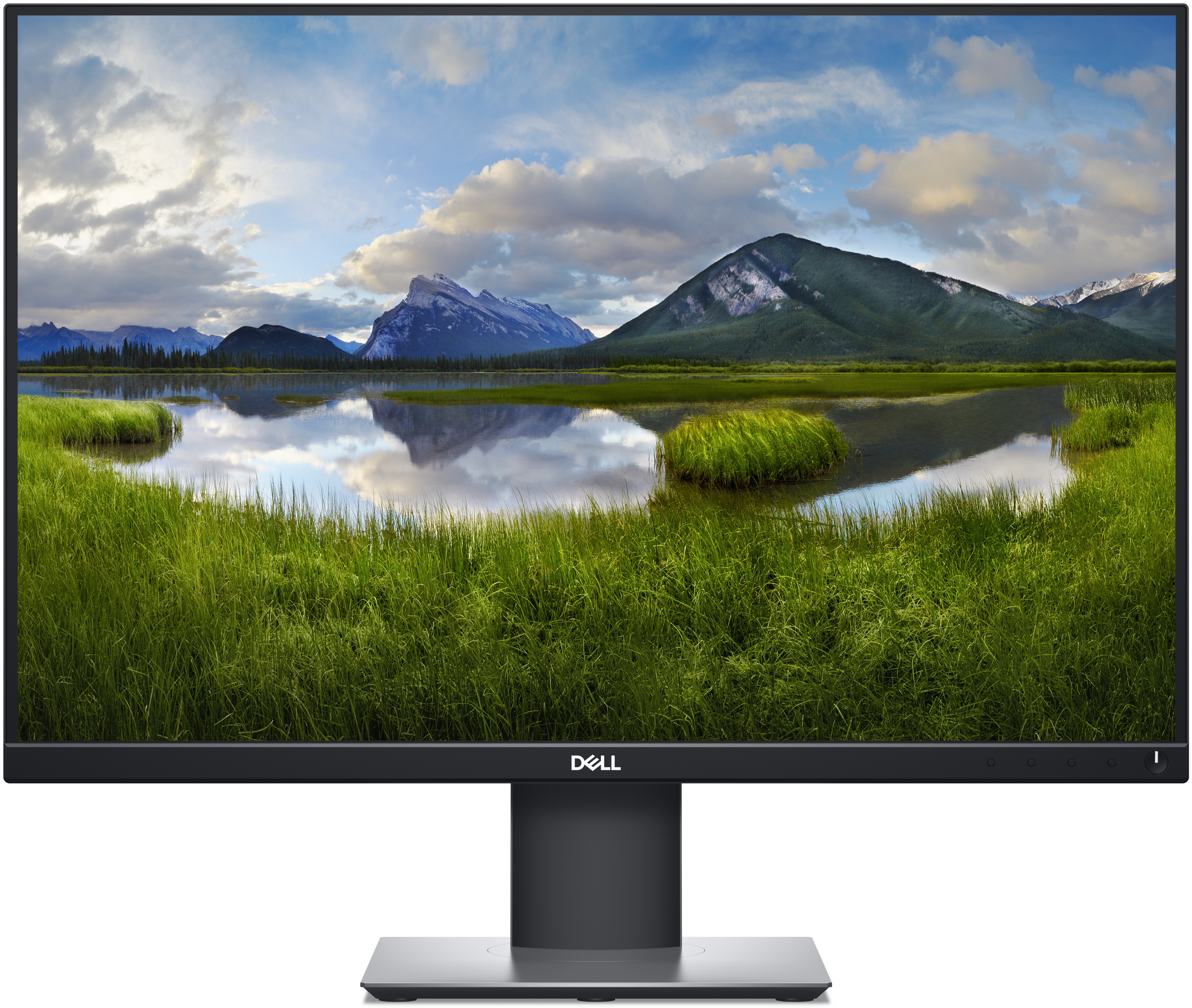 Dell P Series | P2421 Monitor 24,1 zoll | 61,2 cm | WUXGA | 1920 x 1200 | Schwarz