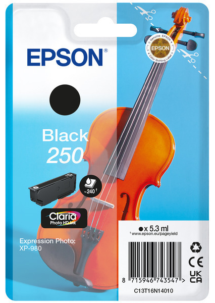 Original Epson 250 | C13T16N14010 Tintenpatrone Schwarz