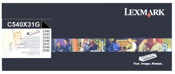 Original Lexmark C540X31G Entwicklereinheit Schwarz