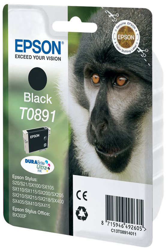 Original Epson T0891 | C13T08914011 Tinte Schwarz