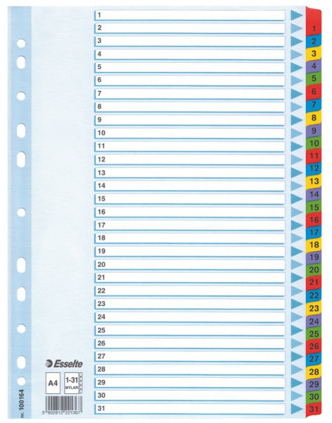 Esselte Register | DIN A4 | 1-31 · 31-teilig | Mehrfarbig