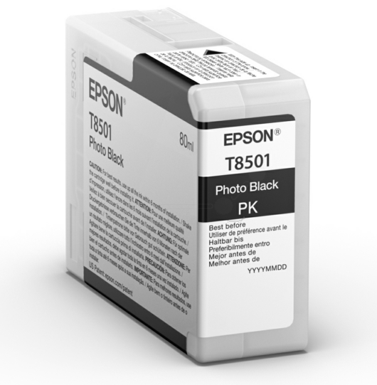 Original Epson C13T850100 | T8501 Tinte Foto Schwarz