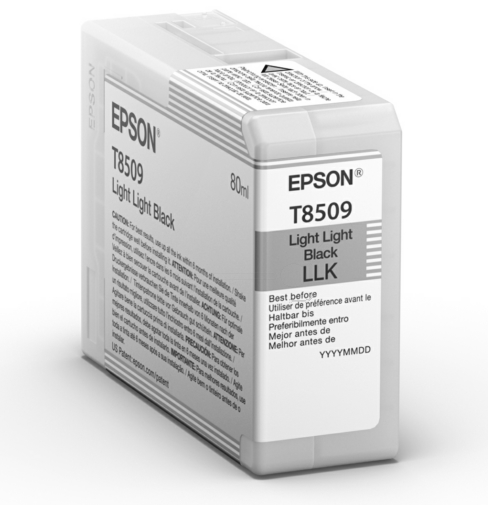 Original Epson C13T850900 | T8509 Tinte Light Light Schwarz