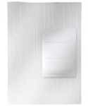 Leitz Organisationshülle CombiFile | DIN A4 | genarbt | 0,20 mm | 3er-Pack