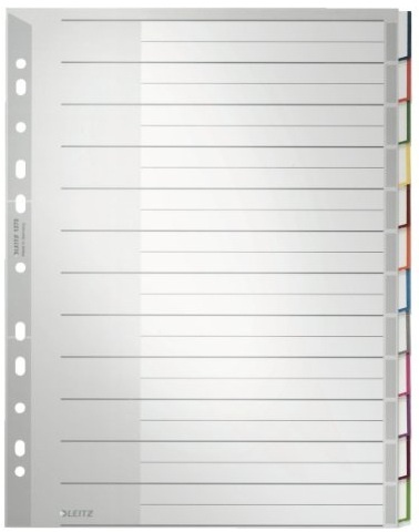 Leitz Register | DIN A4+ | blanko · 12-teilig | Grau