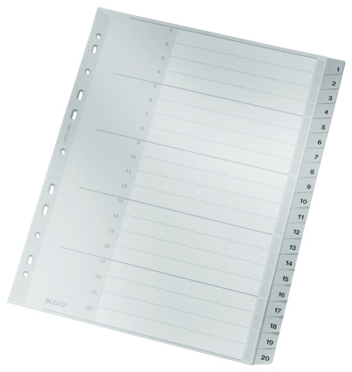 Leitz Register | DIN A4+ | 1-20 · 20-teilig | Grau