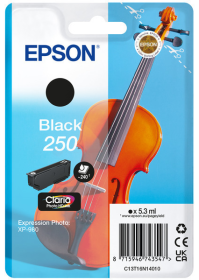 Original Epson 250 | C13T16N14010 Tintenpatrone Schwarz